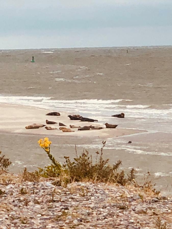 Hotel Le Parc Aux Huitres Cayeux-sur-Mer Zewnętrze zdjęcie
